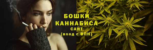 соль ск Богданович