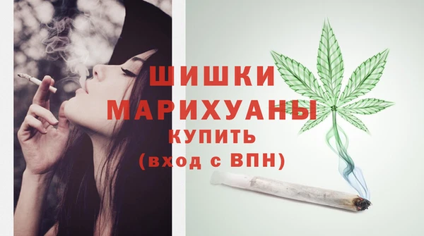 соль ск Богданович