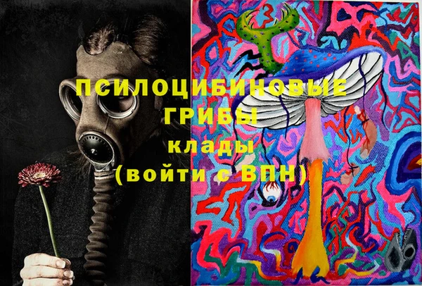 прущая мука Богородск