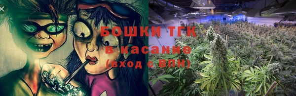 mdpv Богородицк