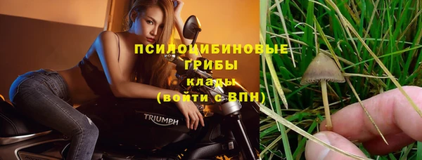 соль ск Богданович