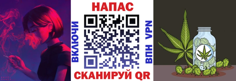 Купить закладки  Володарск  Бошки марихуана сатива 